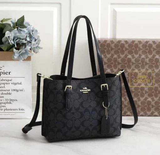 Coach Mollie Tote Bag Signature Canvas