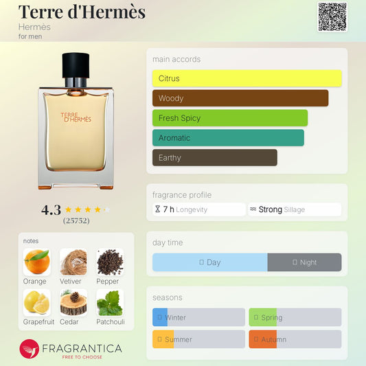 Terre D'Hermès EDT 100ml